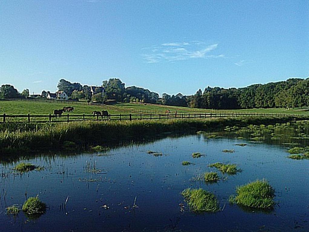 Chambres D'Hotes Du Haras De Coddes Cercy-la-Tour Exteriör bild
